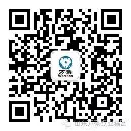 世界杯压球平台-世界杯压球官网（China）官方网站

